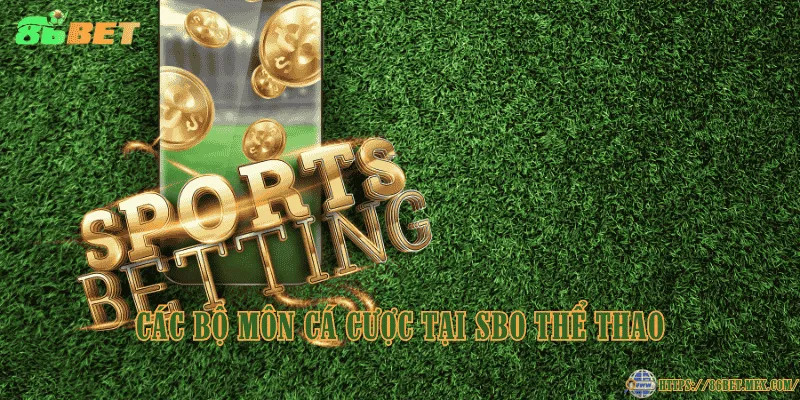 SBO Thể Thao – Điểm đến cá cược thể thao uy tín tại 86BET Các bộ môn cá cược tại SBO Thể Thao