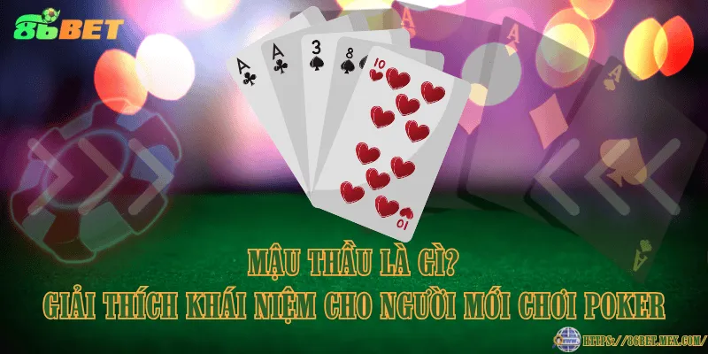 Mậu thầu là gì? Giải thích khái niệm cho người mới chơi Poker Mậu thầu là gì? Giải thích khái niệm cho người mới chơi Poker