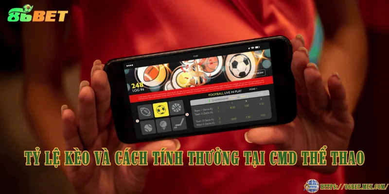 Tỷ lệ kèo và cách tính thưởng tại CMD Thể Thao