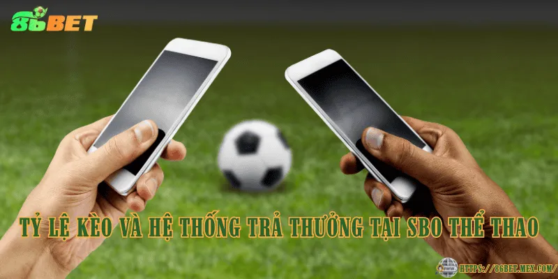SBO Thể Thao – Điểm đến cá cược thể thao uy tín tại 86BET Tỷ lệ kèo và hệ thống trả thưởng tại SBO Thể Thao